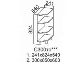 С300то Стол-рабочий 300 (торцевой открытый) в Магнитогорске - magnitogorsk.magazin-mebel74.ru | фото