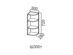 Ш300т/720 Шкаф навесной 300/720 (торцевой) в Магнитогорске - magnitogorsk.magazin-mebel74.ru | фото